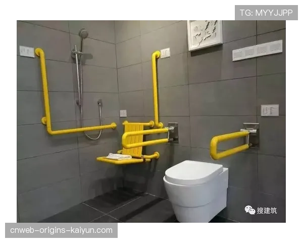 球场无障碍升级后的无障碍观赛流程优化，无障碍示范
